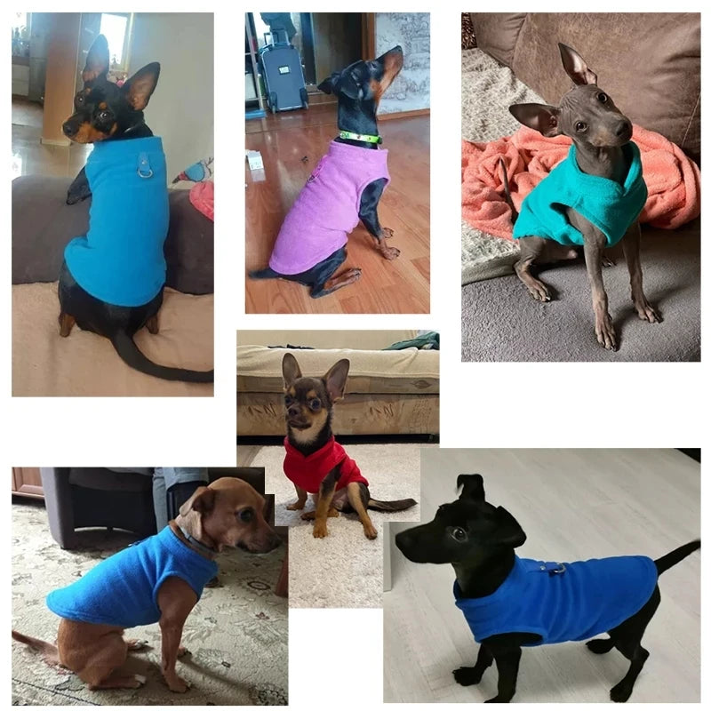 Pet-Friendly Cozy Winter Vest™